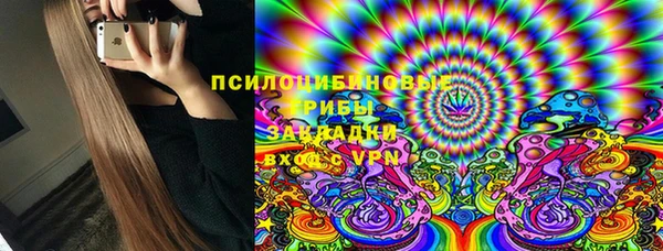 индика Вязьма